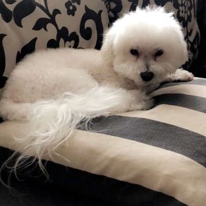 Meet your Posher, Cendy